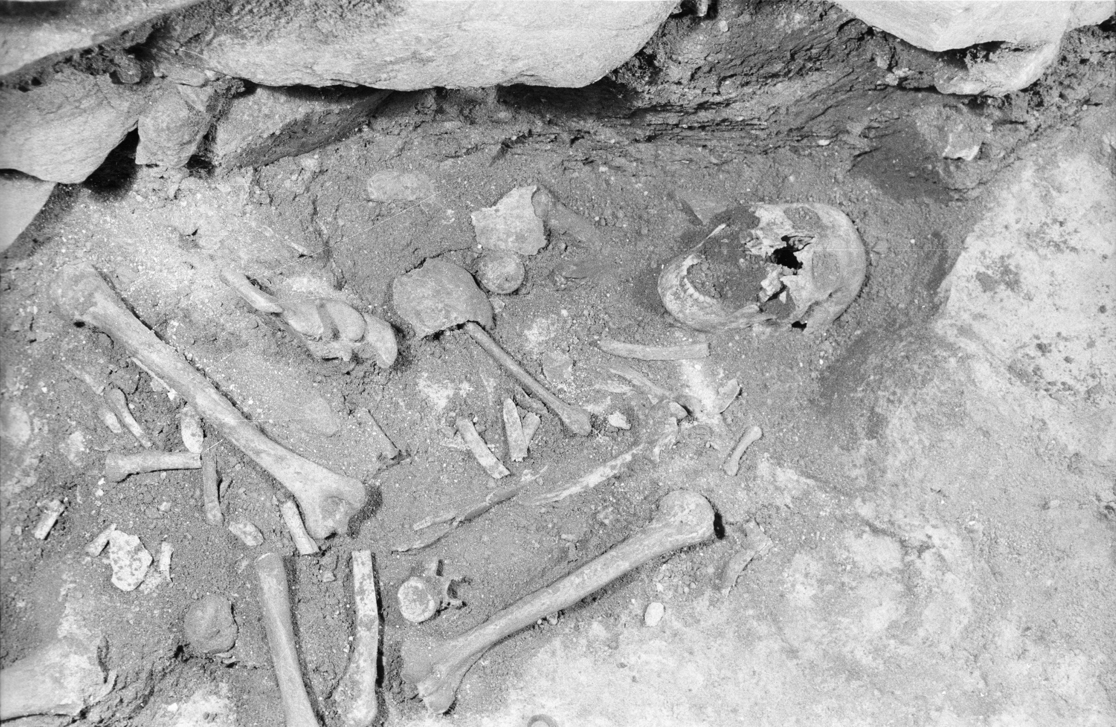 Bilde av skjelett som ble funnet under utgraving under Domkirken i Stavanger