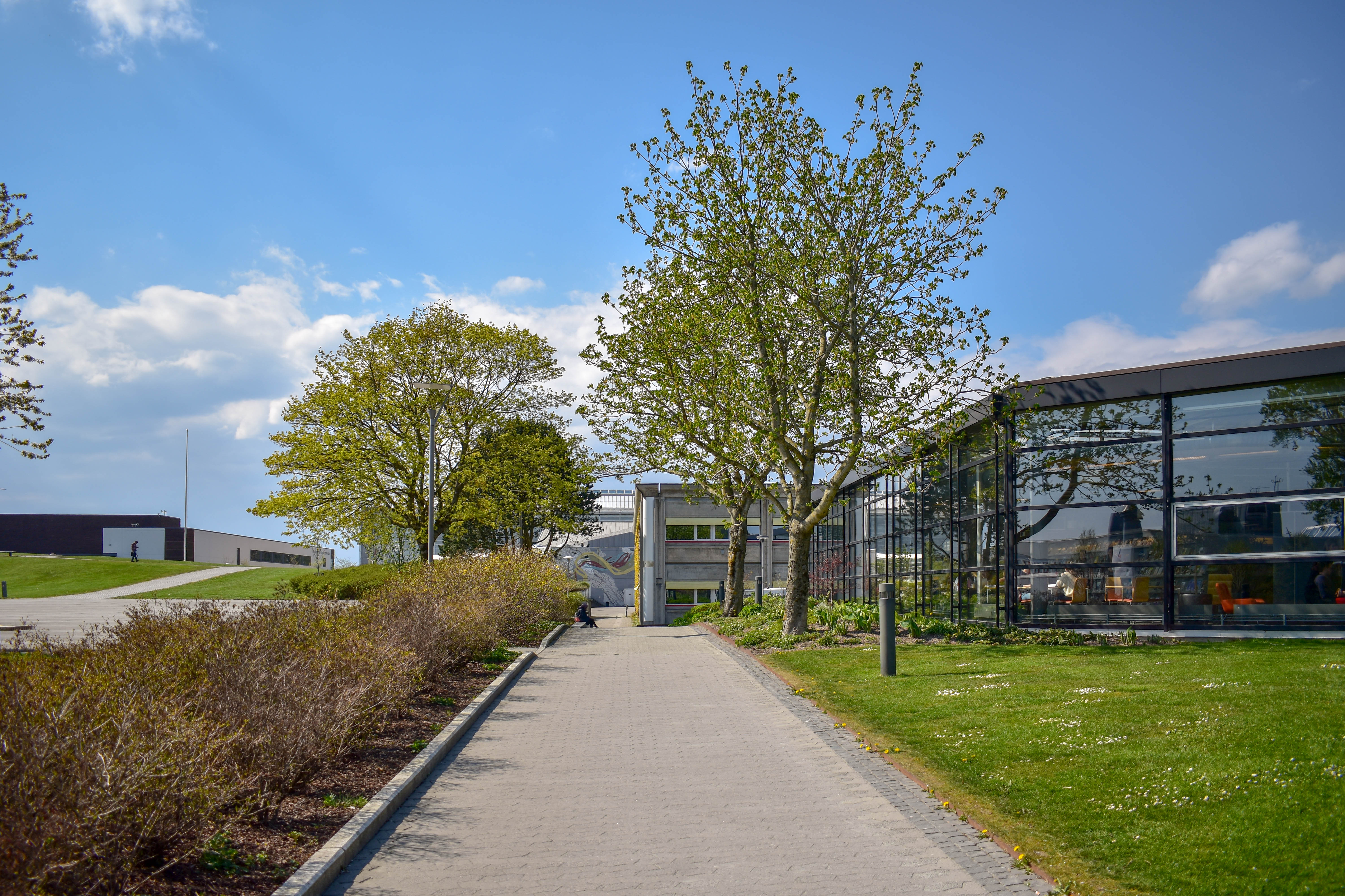 Gangvei mot biblioteket med grønn plen og bå himmel