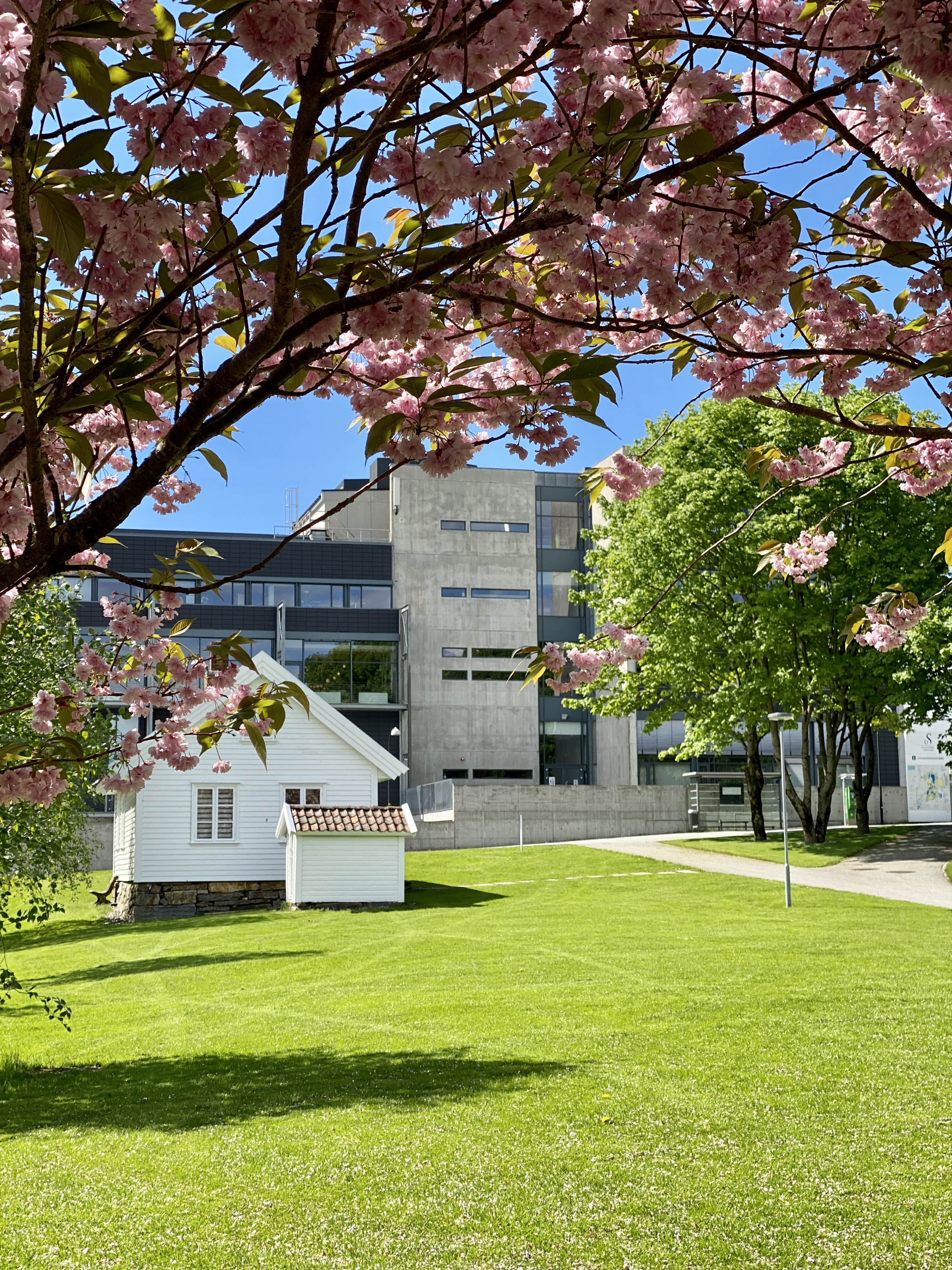 Den gamle skolestua på campus Ullandhaug.