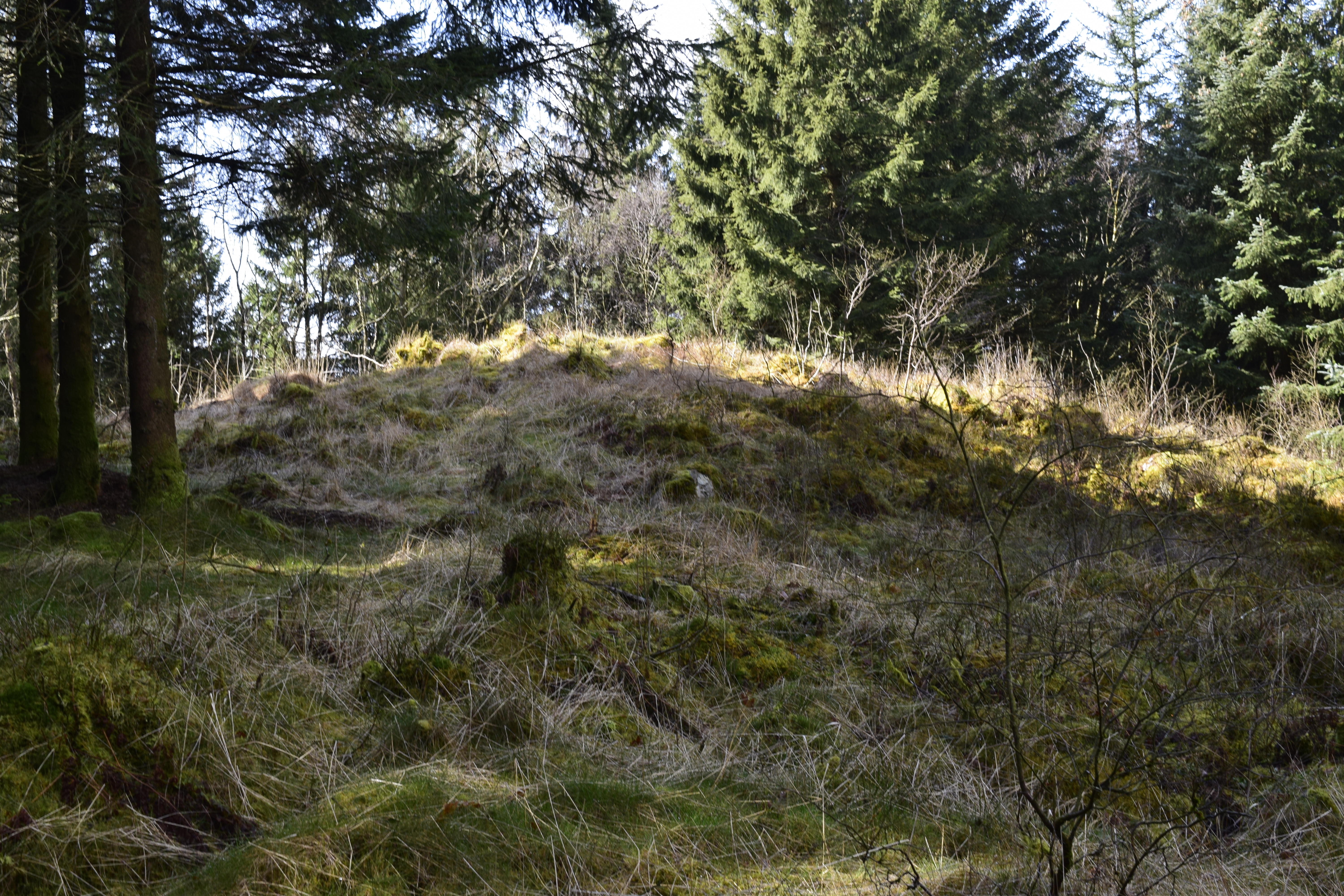 En nokså tydelig gravhaug i skogen på vei opp mot Pålsberget.