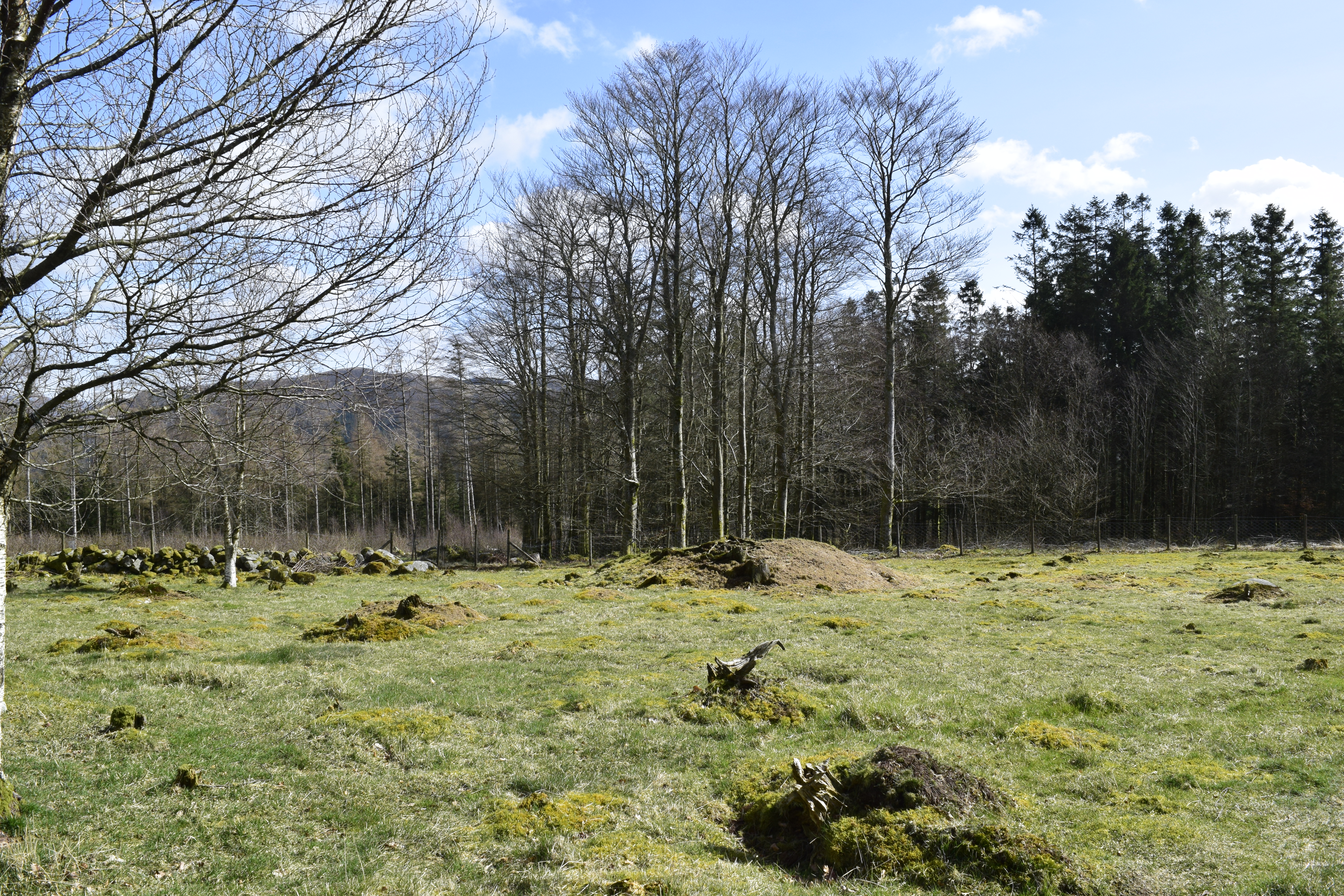 Den største gravhaugen i Klokkar­hagen, rett vest for gårdsanlegget