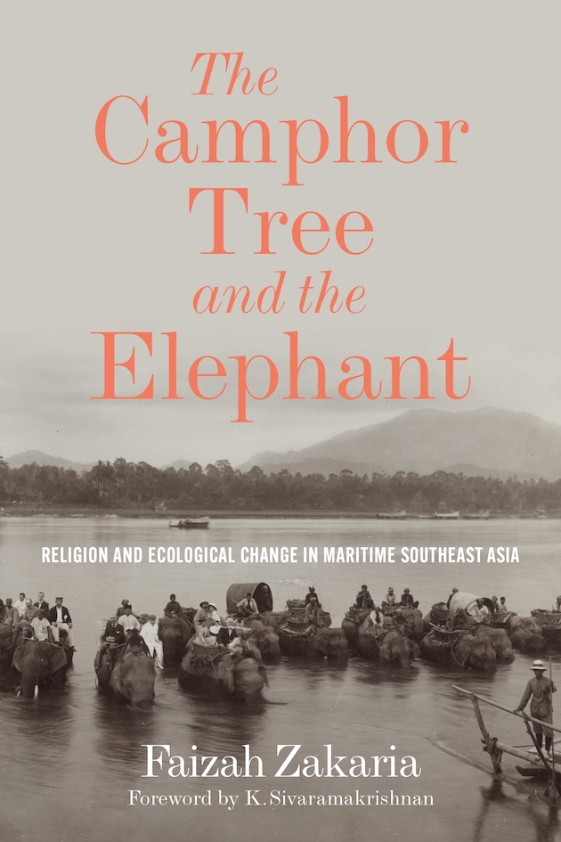 Bokomslag: The Camphor Tree and the Elephant av Faizah Zakaria