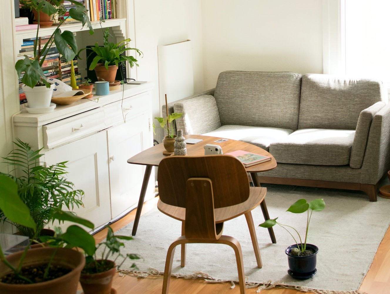 Stue med sofa, bord og planter