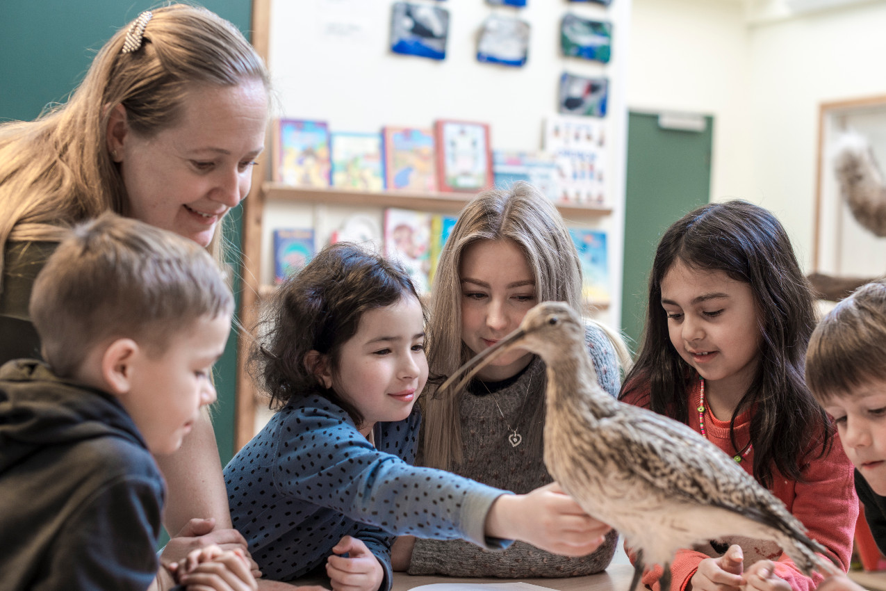 Lærer og fem elever studerer utstoppet fugl i klasserom.