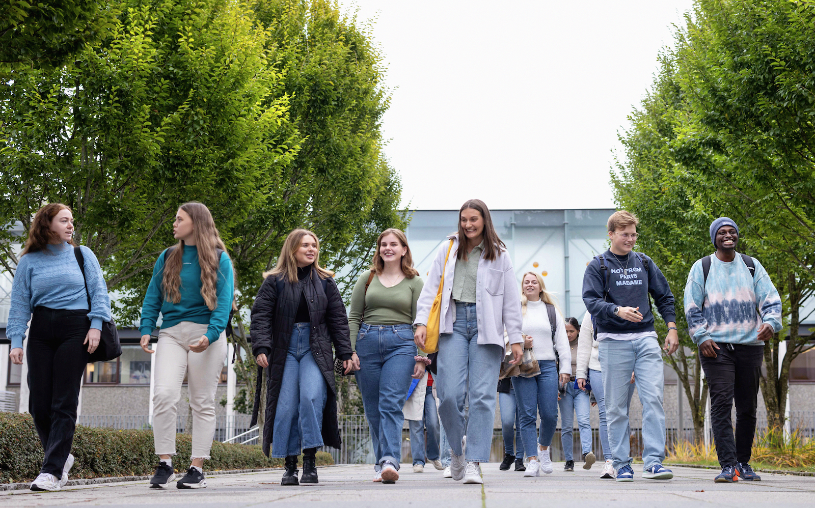 Studentambassadører