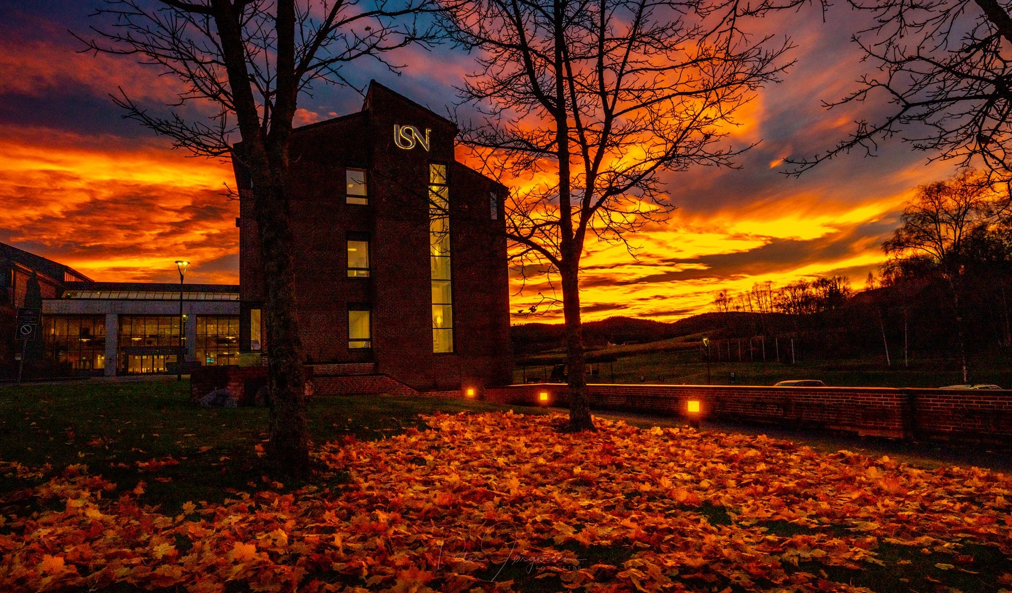 USN campus Bø i høstlig solnedgang