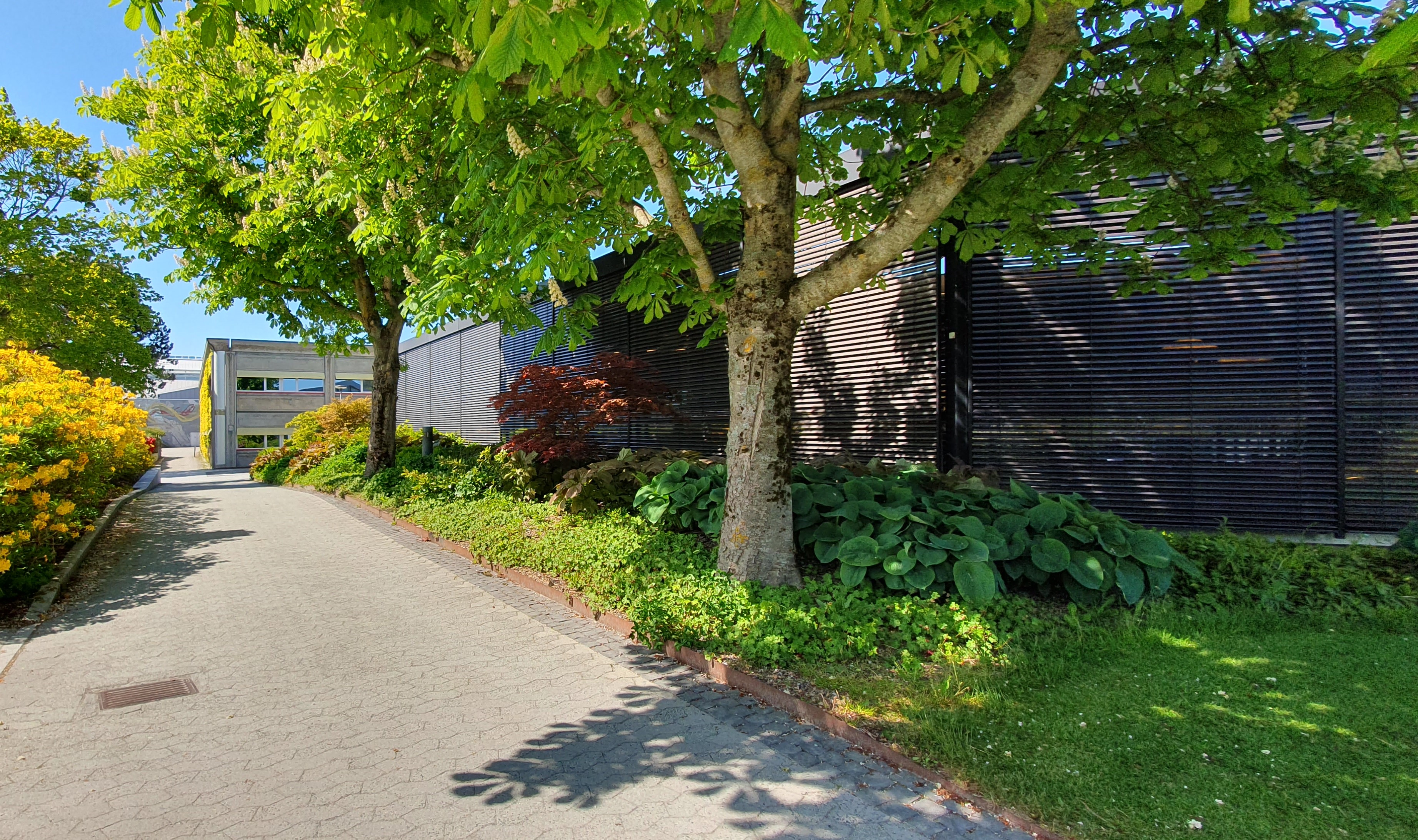Universitetsbiblioteket i Stavanger