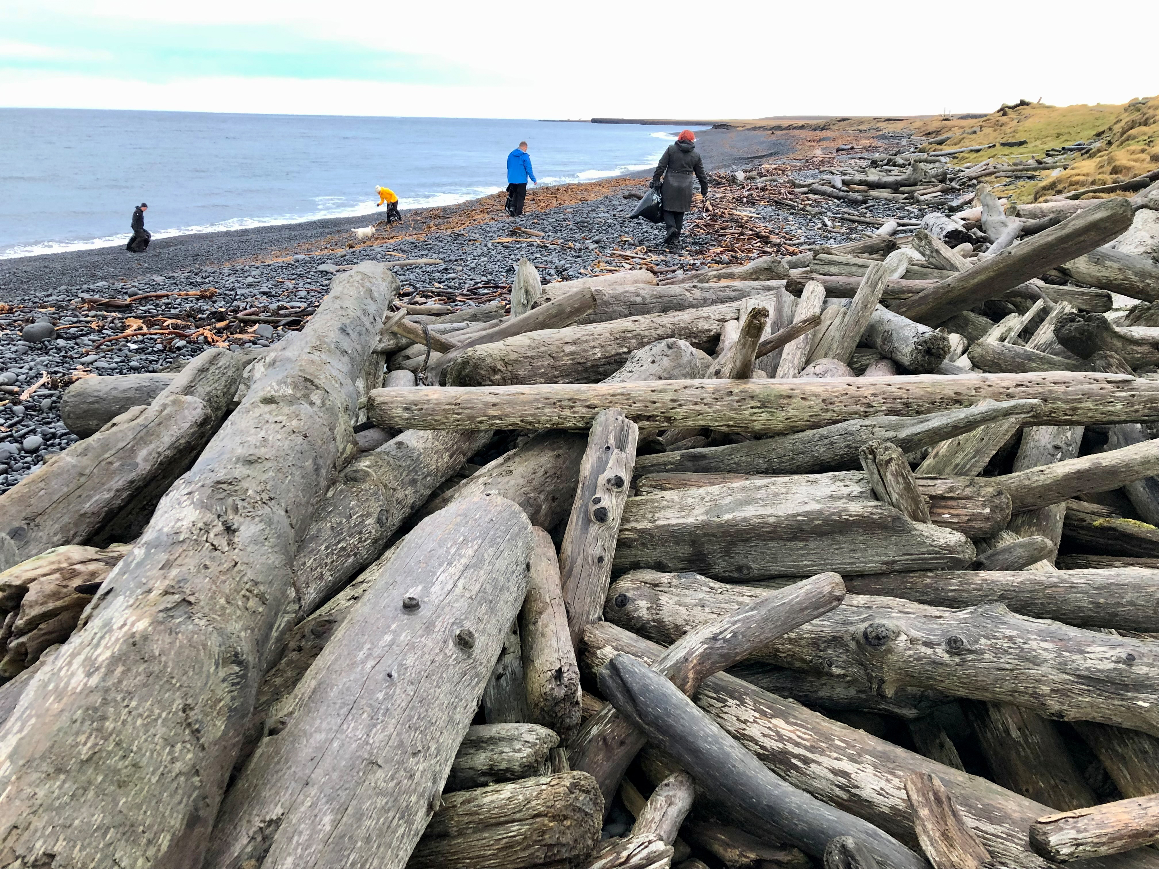 Drvitømmer foran steinstrand