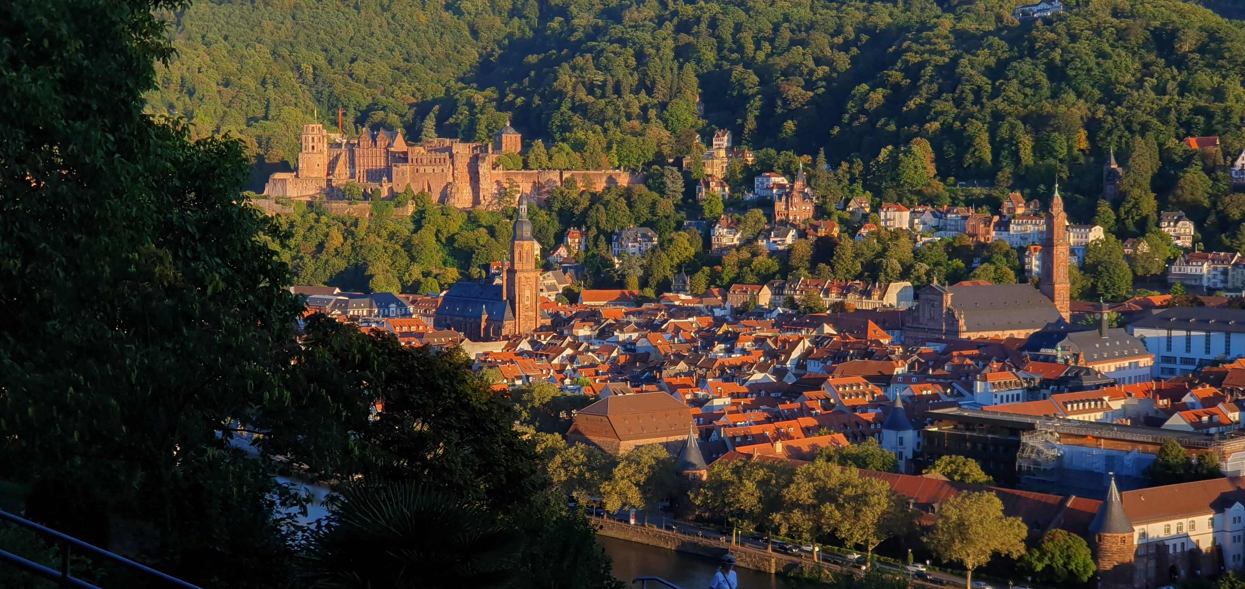 Hus, slott og kirker i byen Heidelberg. Foto