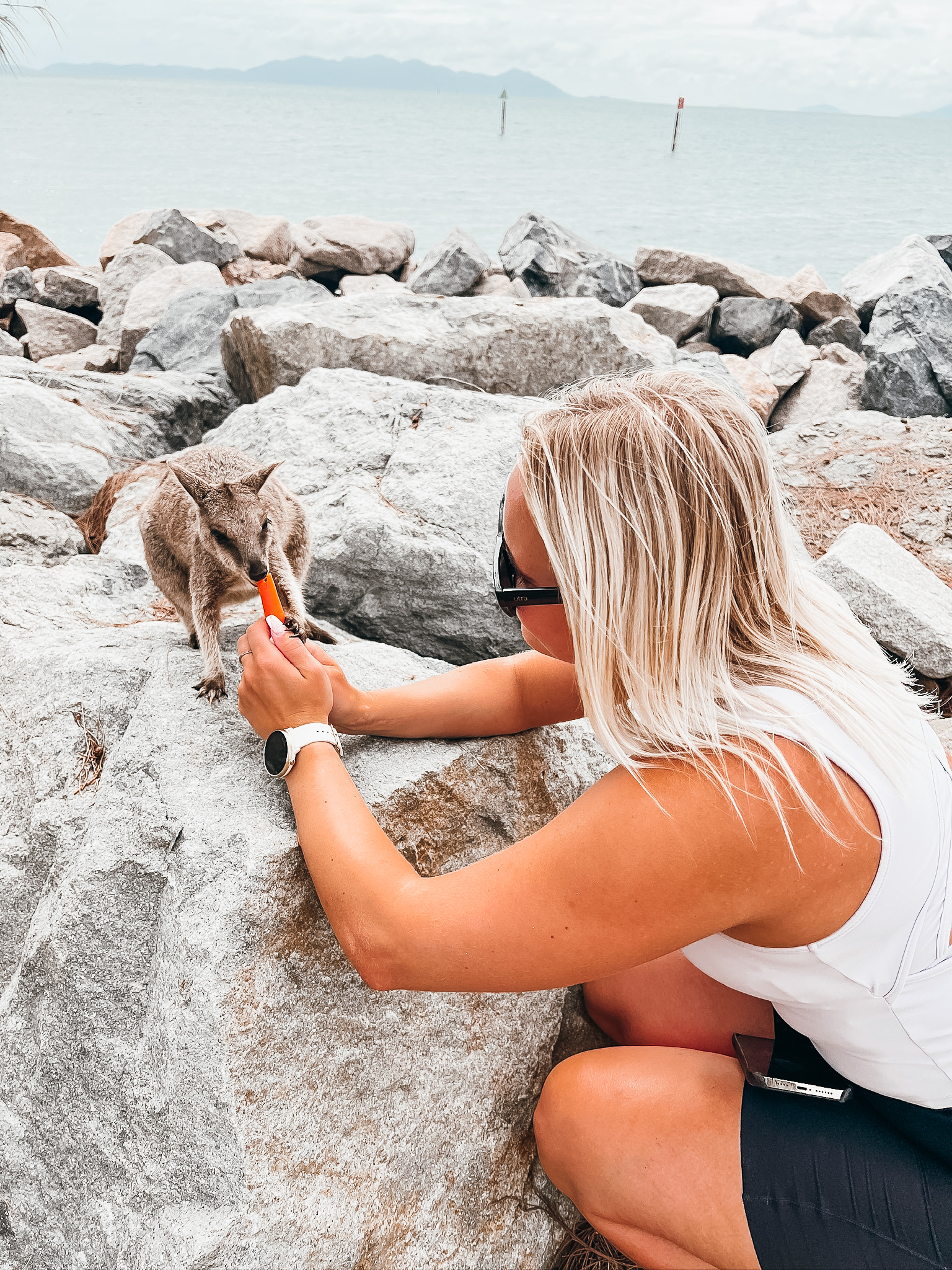 Genette matar ein wallaby