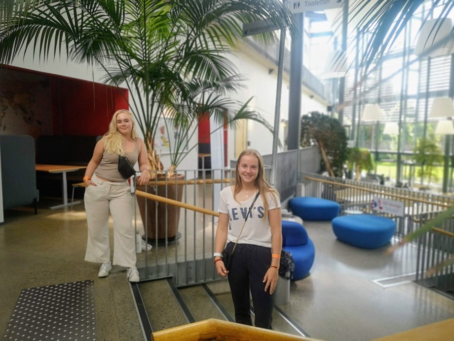 Psykologistudetner på campus
