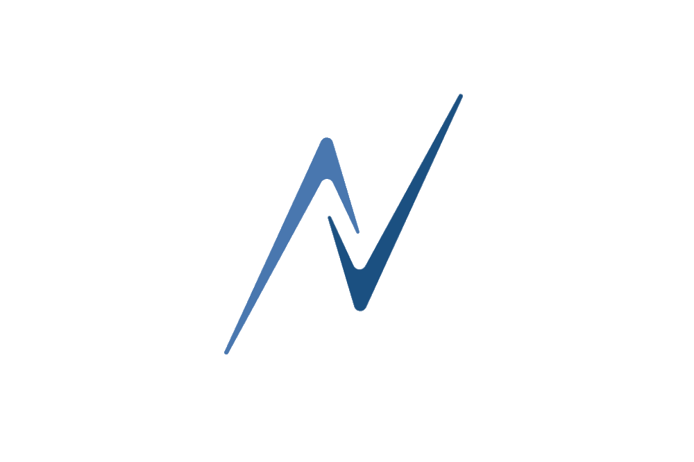Nettskjema logo