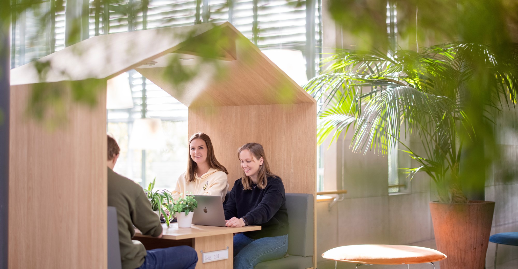 Studenter sitter ved bord og prater innendørs i grønne omgivelser