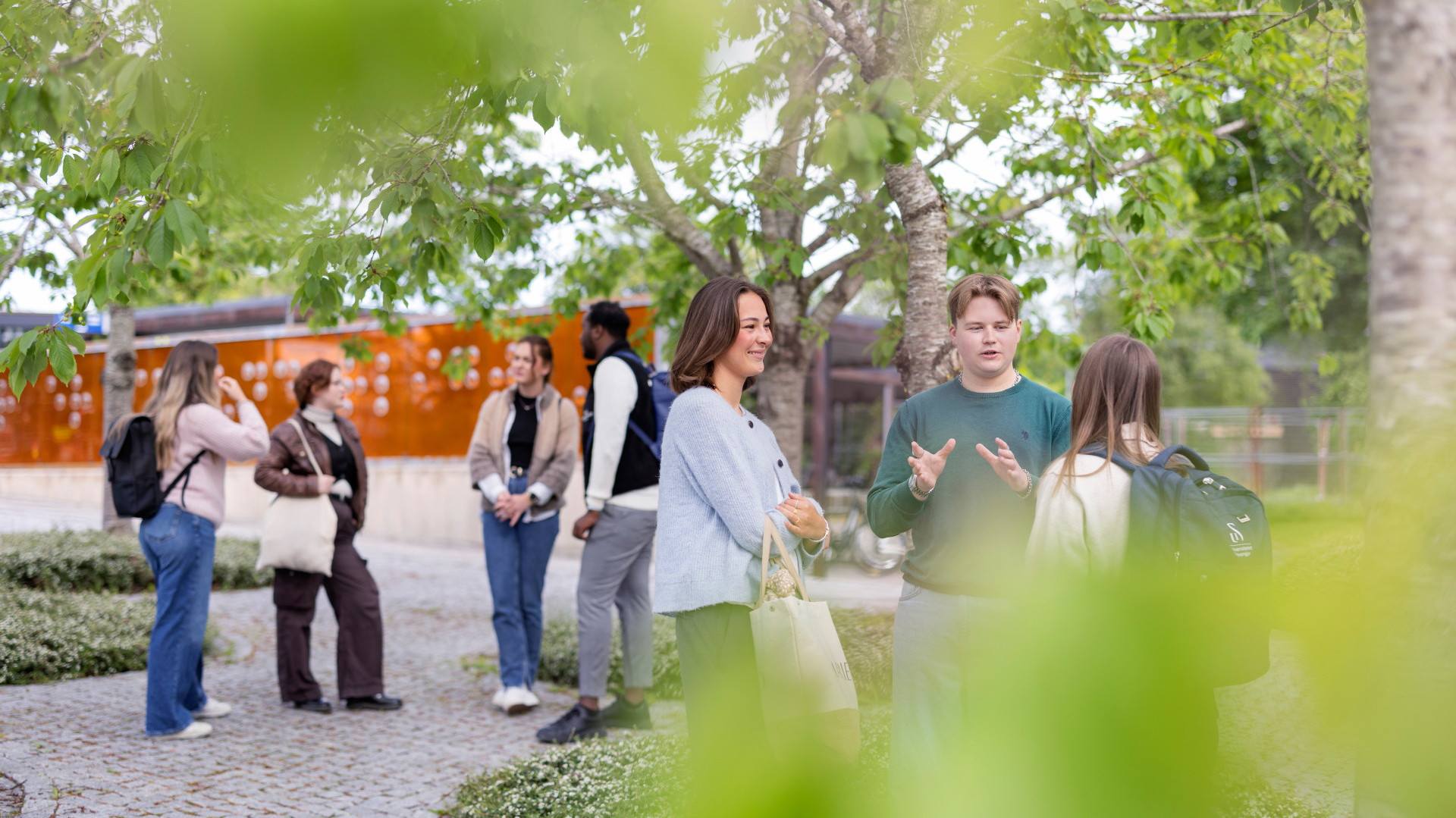 En gruppe studenter står utendørs og prater.