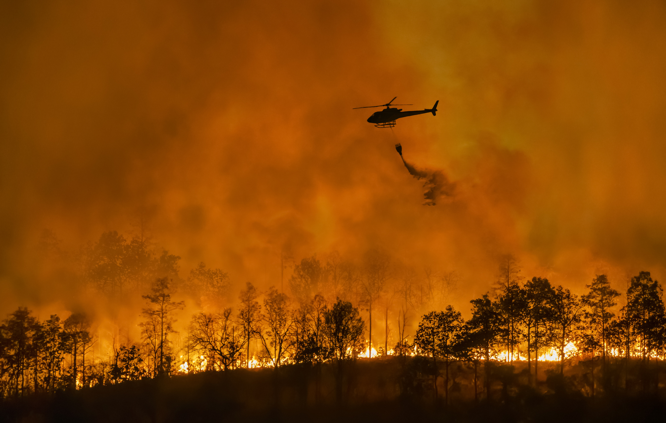Skogbrann med et helikopter i luften som heler vann på flammene
