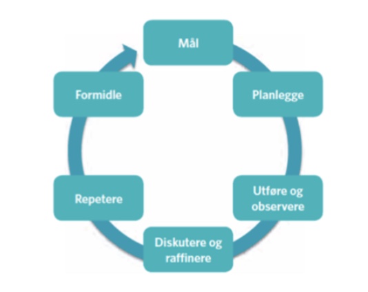 Lesson study (Munthe & Haldorsen, 2013)