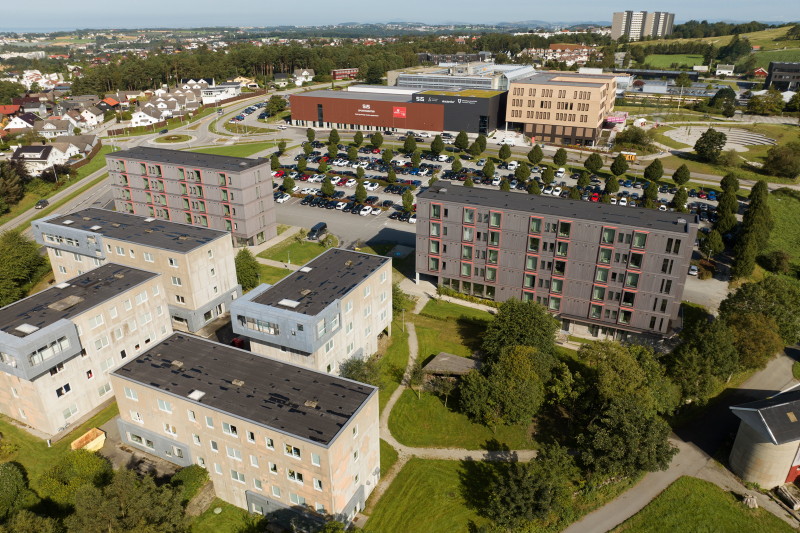 Oversiktsbilde fra grønt område med høye hus