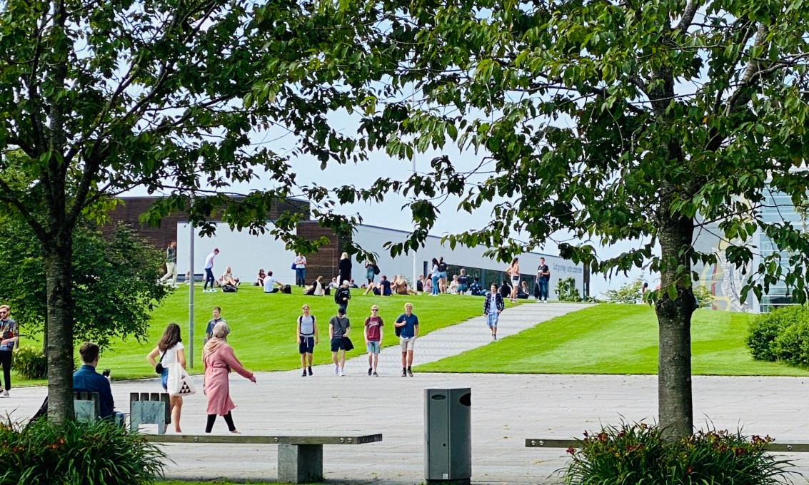 Grønt uteområde på campus Ullandhaug ved semesterstart i august. Grupper av folk sitter på plen.