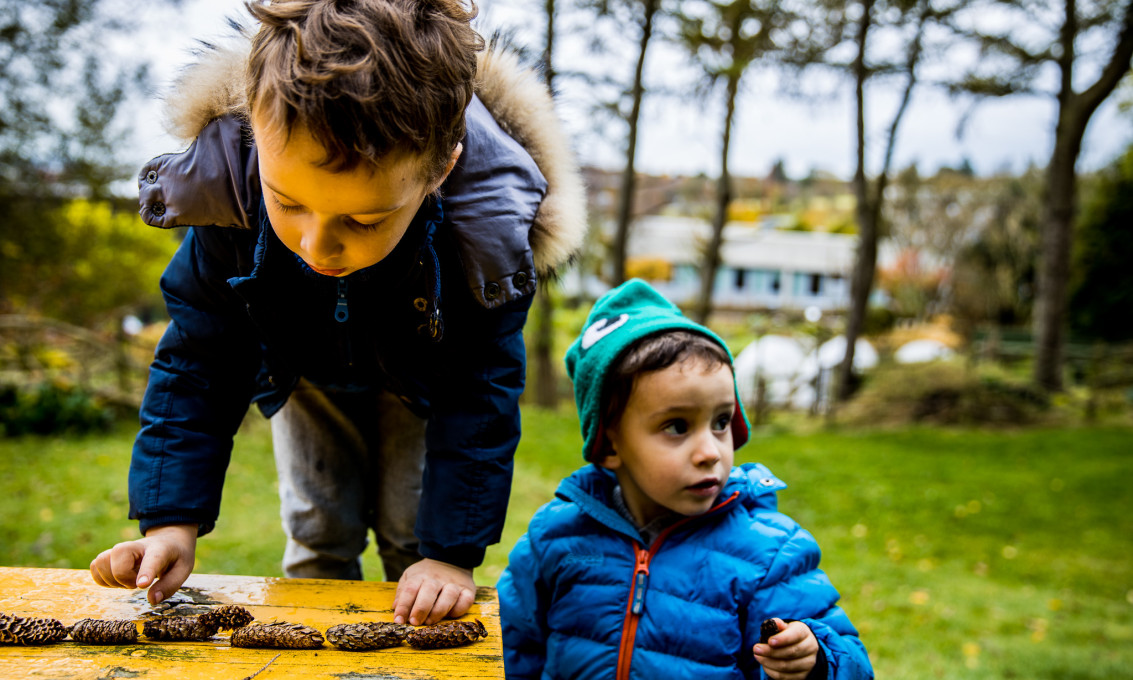 To barn leker med kongler i skogen