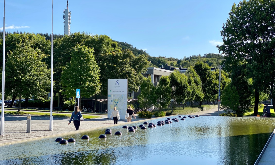 Campus Ullandhaug med Sørmarka og Ullandhaugtårnet i bakgrunnen.