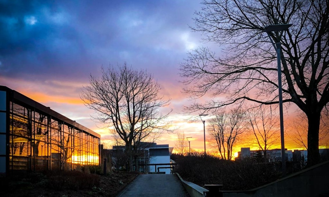 Gangvei ved siden av bygning med glassvindu hvor blå og oransje himmel i solnedgang reflekteres