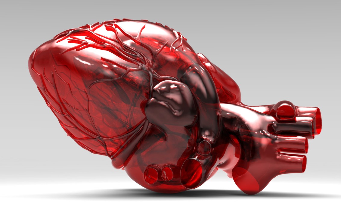 Kunst: modell av et hjerte i rød farge