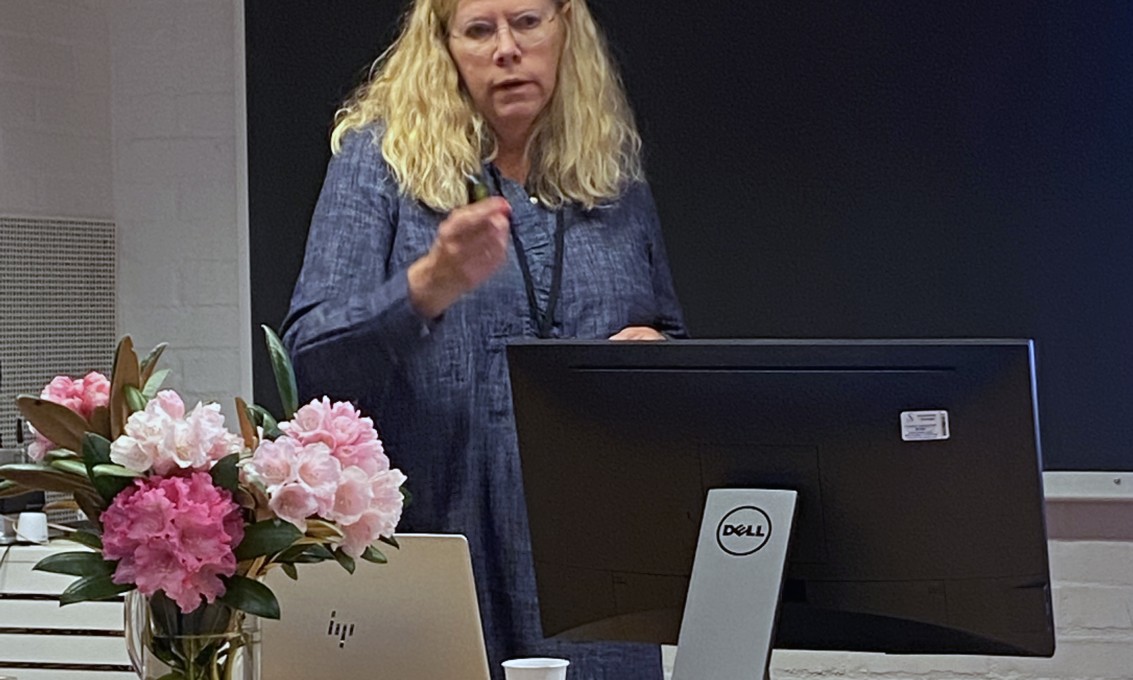 Dame som holder presentasjon