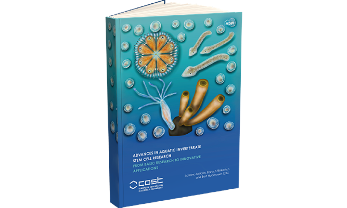 Rinkevich, Baruch, Hobmayer, Bert, Ballarin, Loriano, 2022. Advances in Aquatic Invertebrate Stem Cell Research book cover