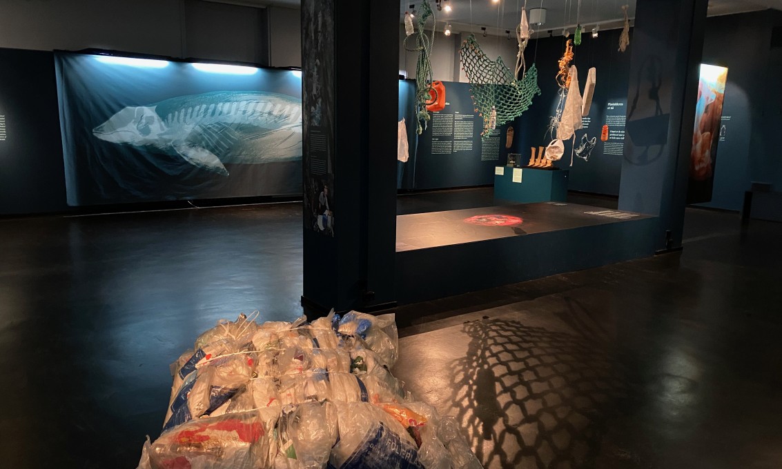 A bale of plastic lies in the foreground with an x-ray image of a whale in the background. In the middle ground, nets and other detritus hang from the ceiling