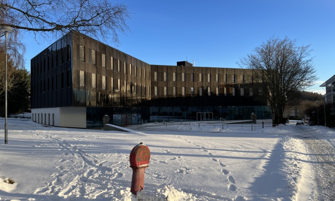 Handelshøgskolen ved UiS