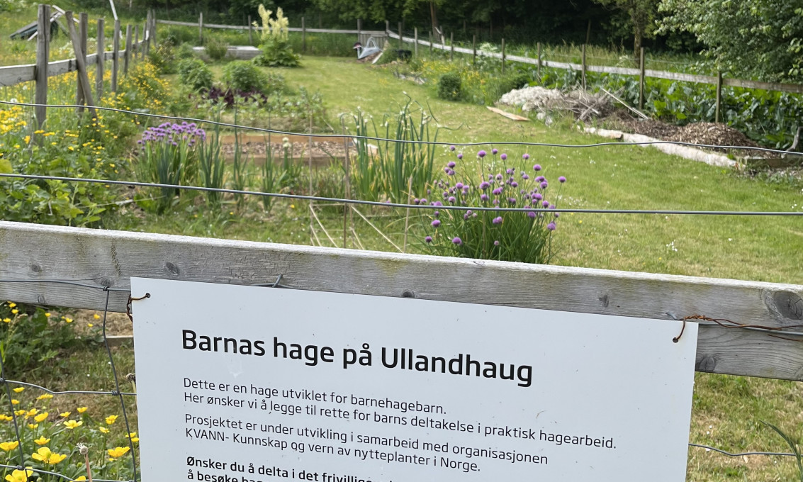 Skilt til Barnas hage på Ullandhaug i sommereng.