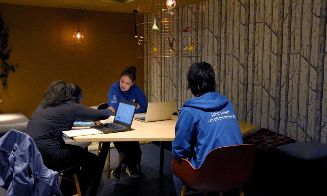 Ansatt ved biblioteket veileder studenter