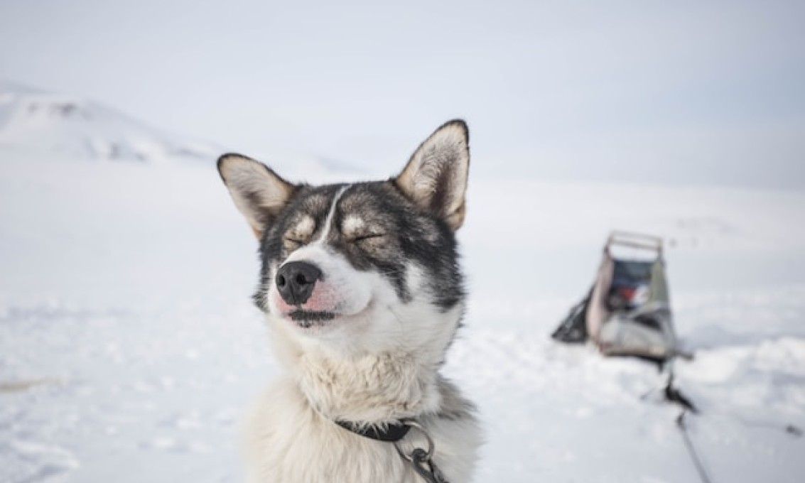 Svalbard