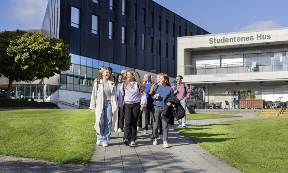 Bli student ved Universitetet i Stavanger