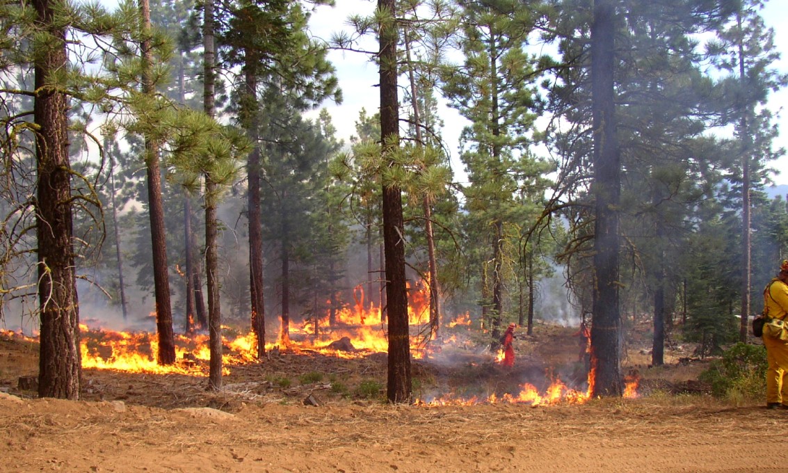 Fire crew at a forest fire in Lassen National Forest.