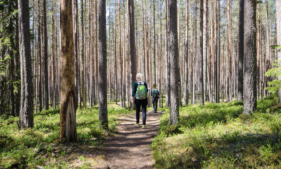 People walking in the forest