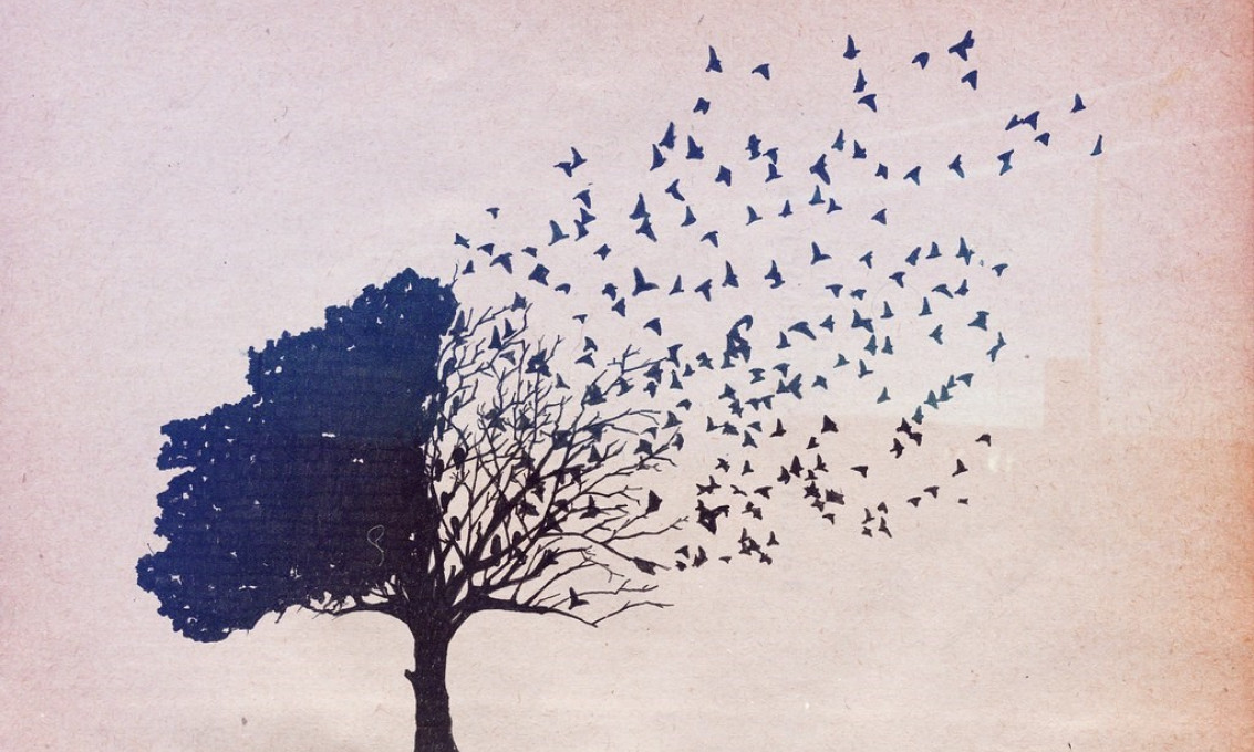 A tree where the leaves on its right hand side have transformed into birds and are flying away