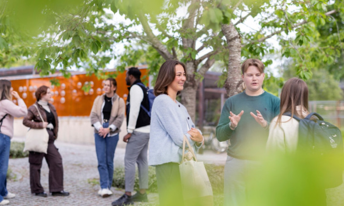 Studenter snakker sammen i grupper på campus