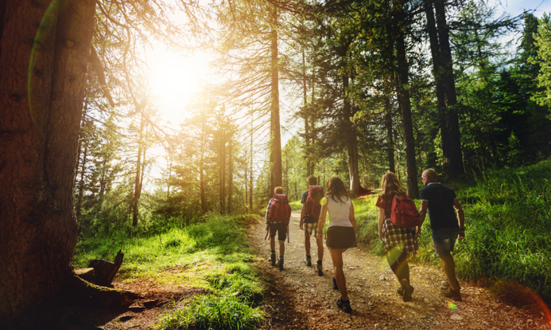 mennesker går opp en skogssti i solnedgang