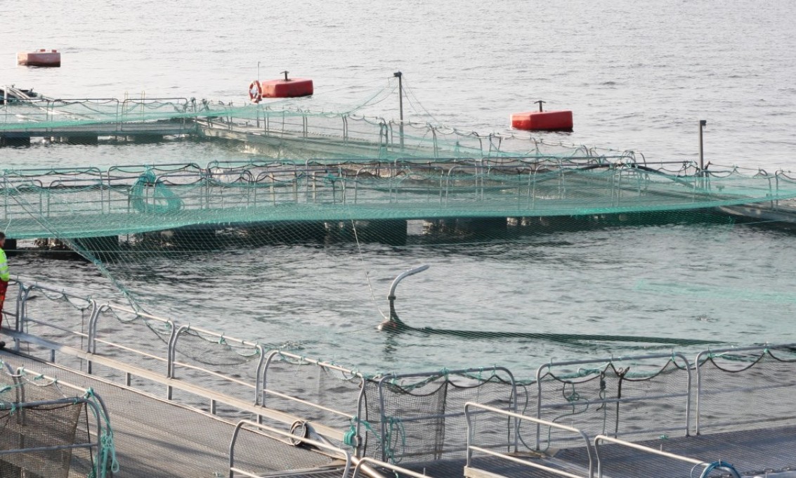 Sustainable aquaculture