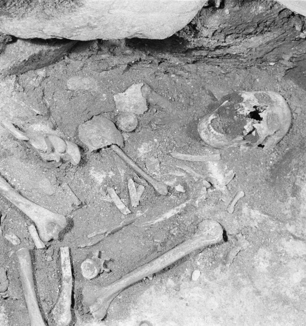 Bilde av skjelett som ble funnet under utgraving under Domkirken i Stavanger