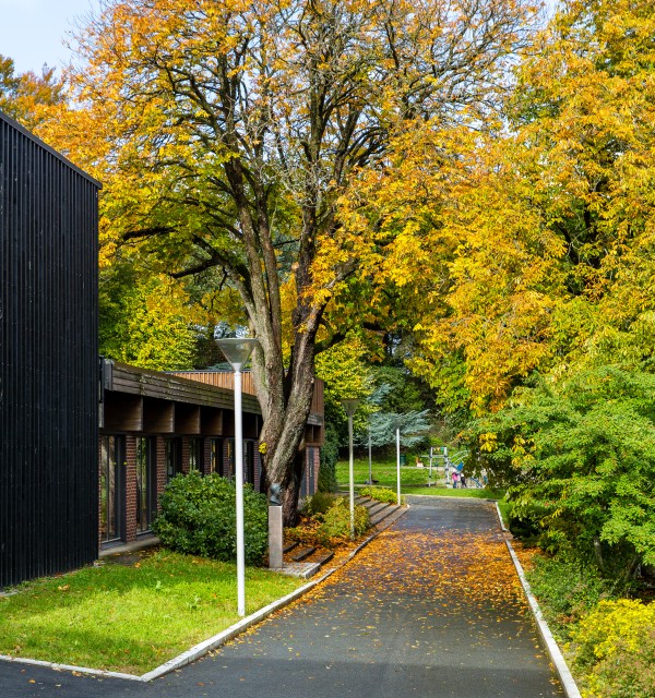 Bjergstedparken om høsten. Foto: Marius Vervik