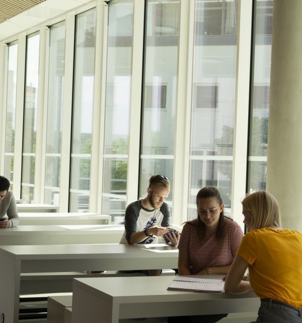 Styret ved Handelshøgskolen