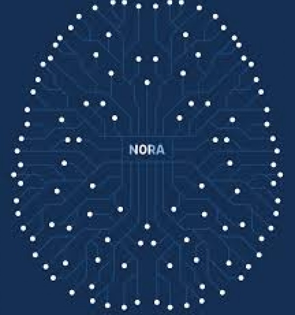 Noregian Artifical Intelligence Research