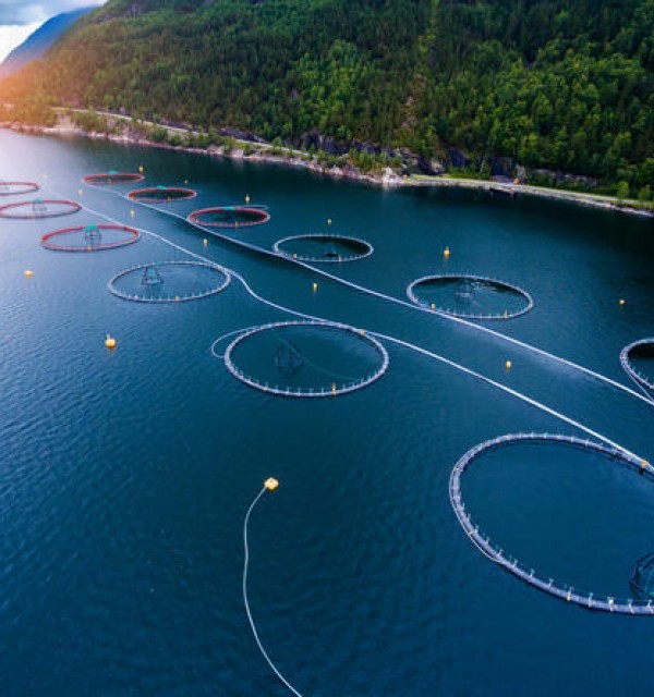 Aquaculture Technology