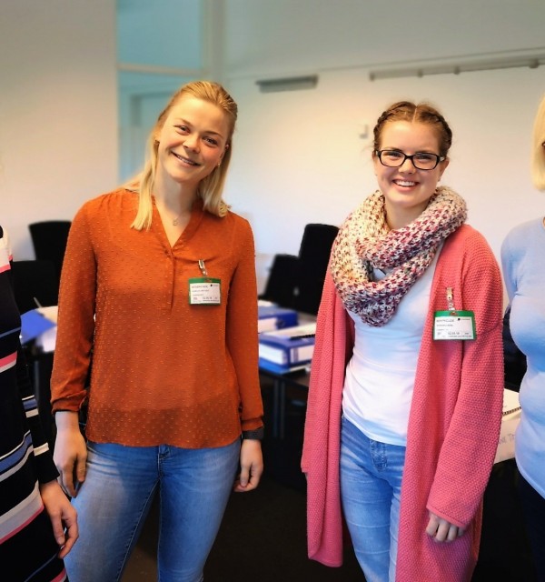 forskningsassistenter i two teachers