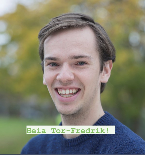 Tor-Fredrik Torgersen, datastudent