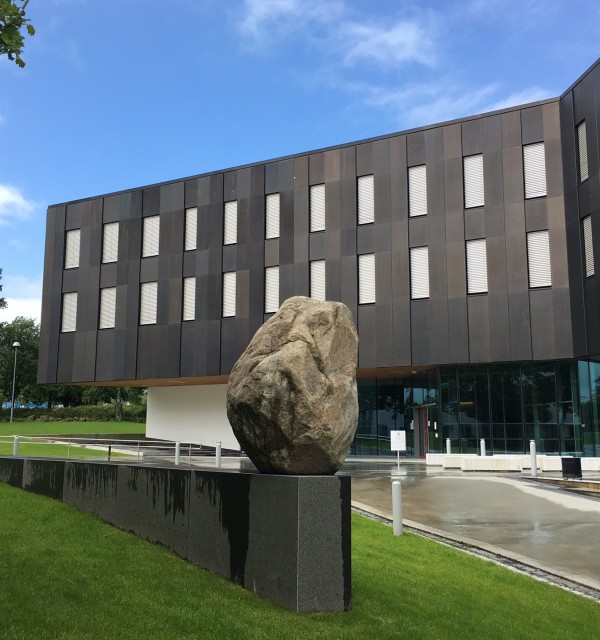 The UiS School of Business and Law Faculty Board