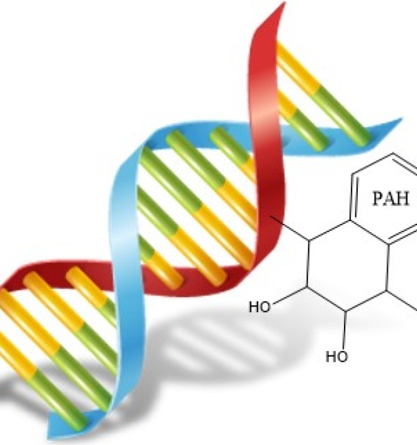 DNA adduct in fish