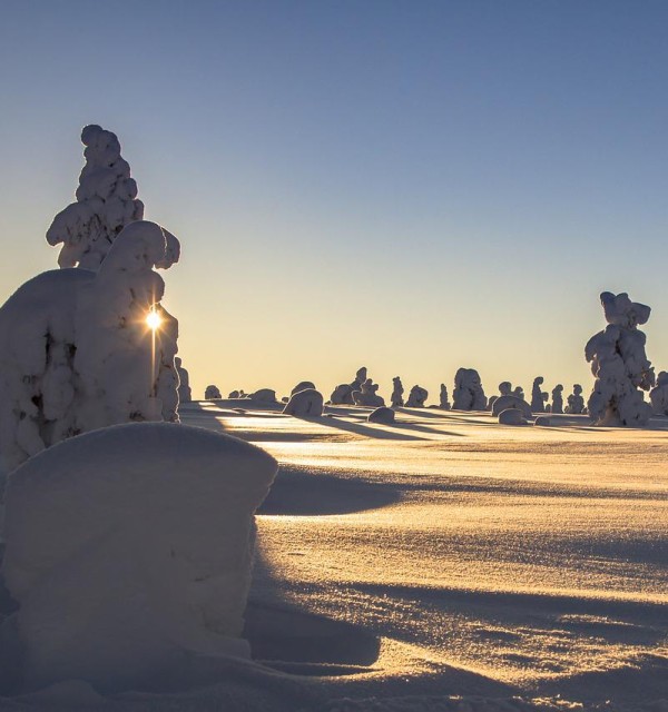 Vinterlandskap i Finland